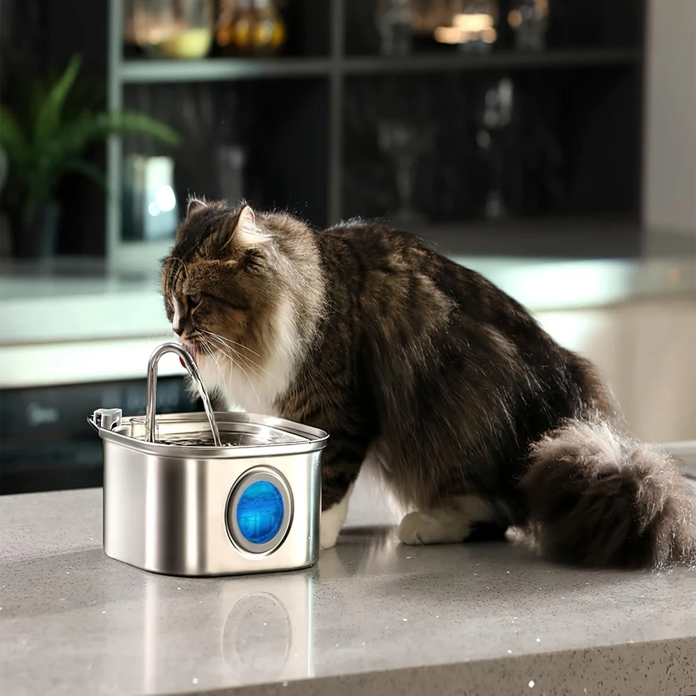 Thumbnail 3 - #35 Best Drinking Fountains to Buy In 2026