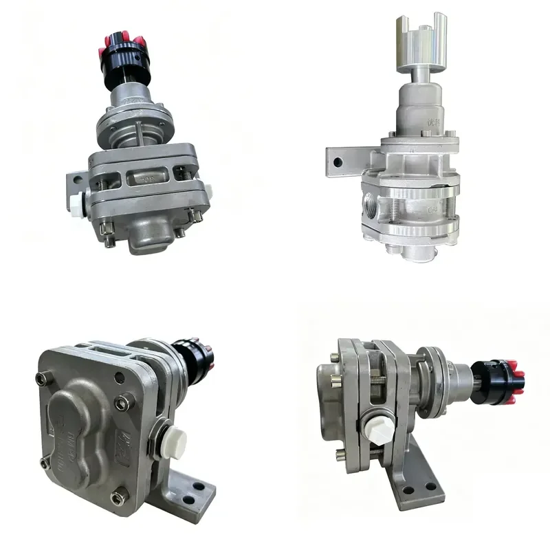Ultra Precision Gear Metering Pump High Pressure 1-100 Bar Supports OEM Service Suitable for Industrial Applications