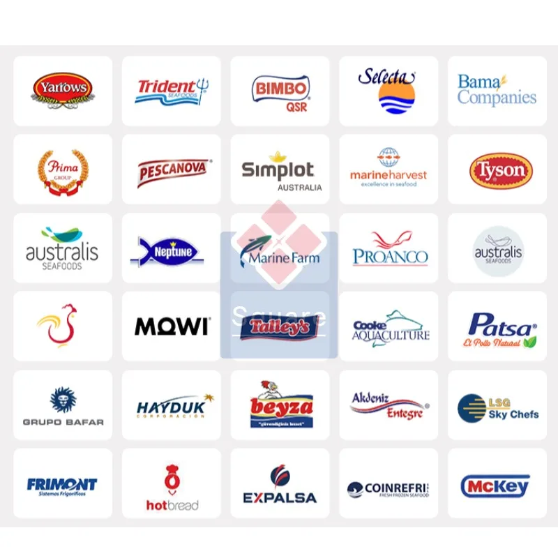 New Design Precise Temperature Control Heat Exchanger Industrial Evaporator for Cold Storage