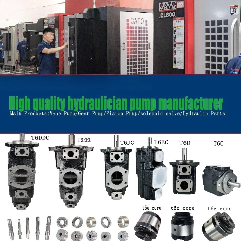 المضخة الهيدروليكية T6 سلسلة كاملة T6DCC/T6EDC/T6DDC/T6DDCM مضخة ريشة هيدروليكية ثلاثية لآلة قولبة الحقن