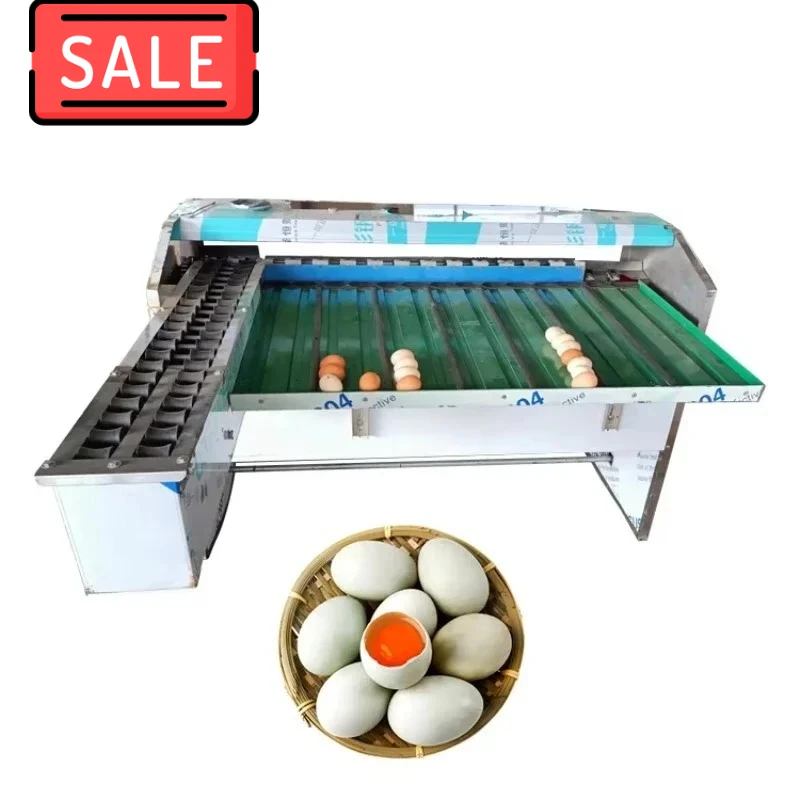 Energy Saving Stainless Steel Automatic Egg Grading Machine Digital Egg Weight Sorting Classifier