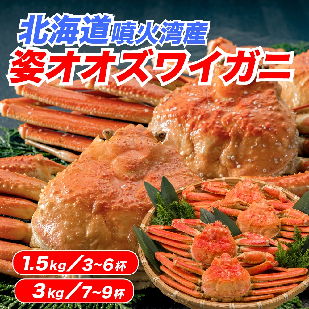 北海道噴火湾産 姿大ズワイガニ 1.5kg／3kg