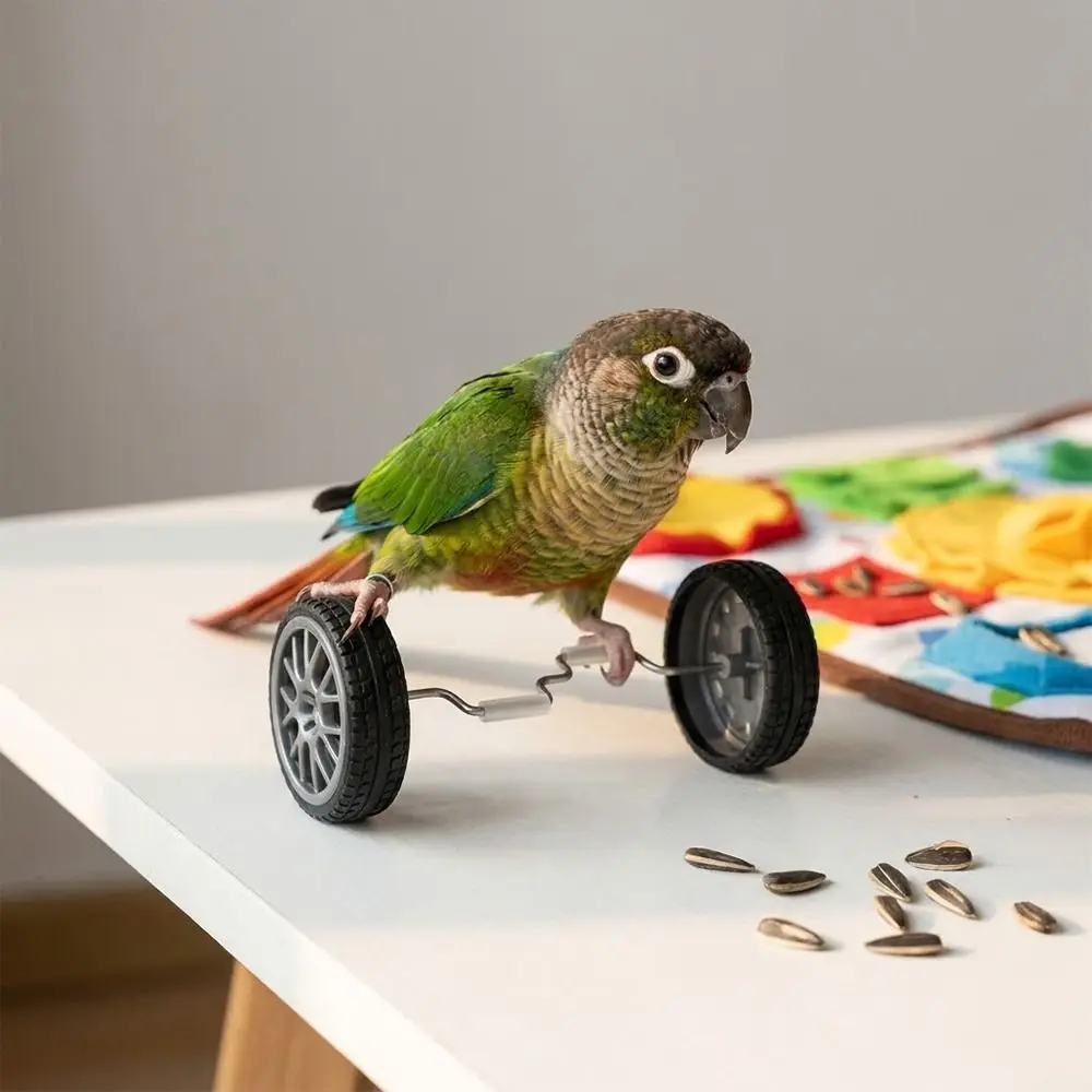 Multifunktionales Plastik-Papageien-Balance-Bike Leichtes Vogel-Trainingsfahrrad Intelligenzförderung für Kleine und Mittlere Vögel – Detail 7