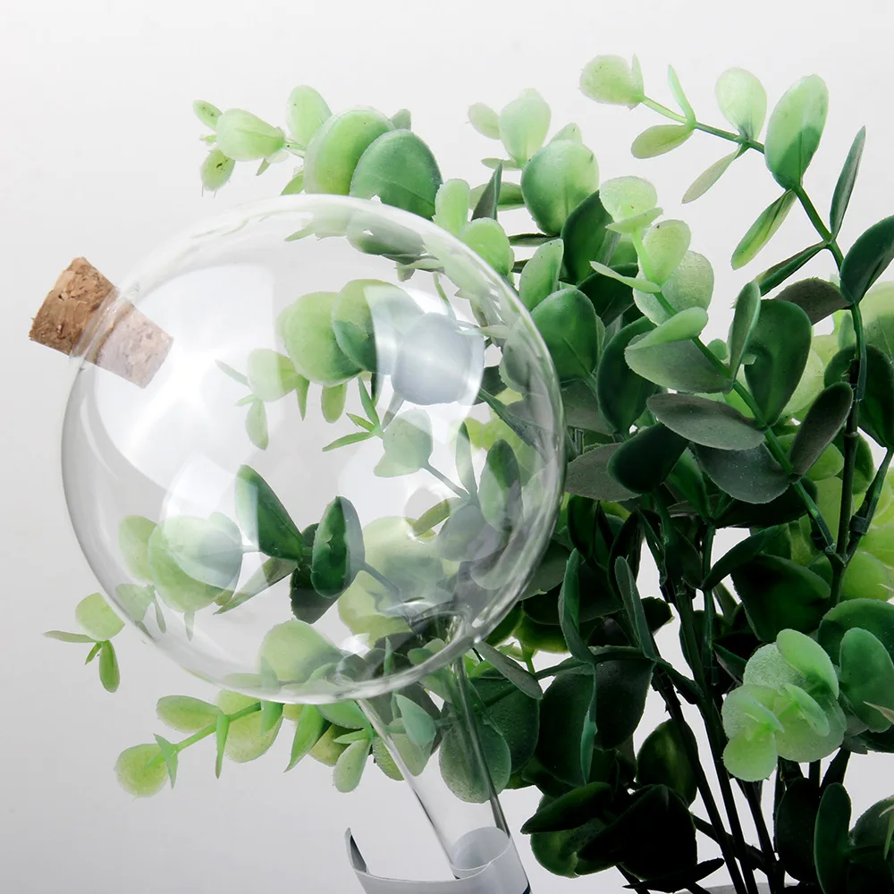 #10 Compare Watering Globes Before You Buy