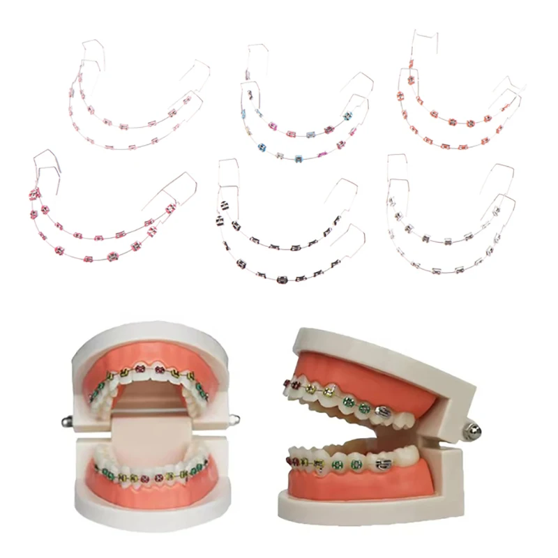 1 Pair Temporary Tooth Decoration With Metal Wires Metal Bracket And Orthodontic Ligature Ties Dental Decorations