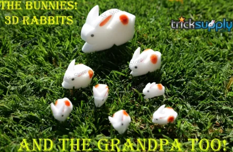 

The Bunnies By Trick Supply Magic tricks ( 58 Store Download )