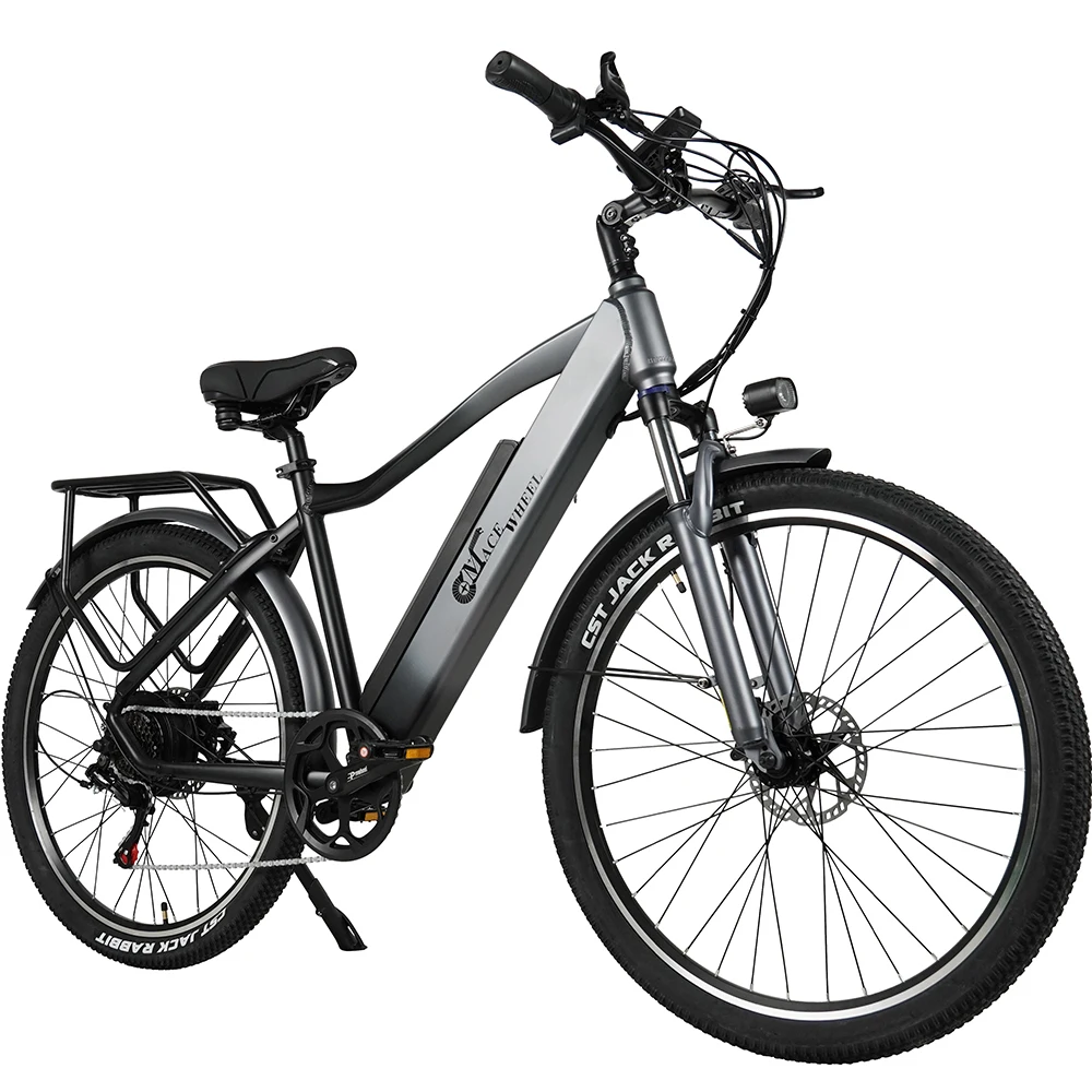 Adult Mountain E Bike 750W 48V 17AH Electric Bike Electric Bicycle Snow Electric Bicycle 4.0 Fat Tire E-bike Removable Battery