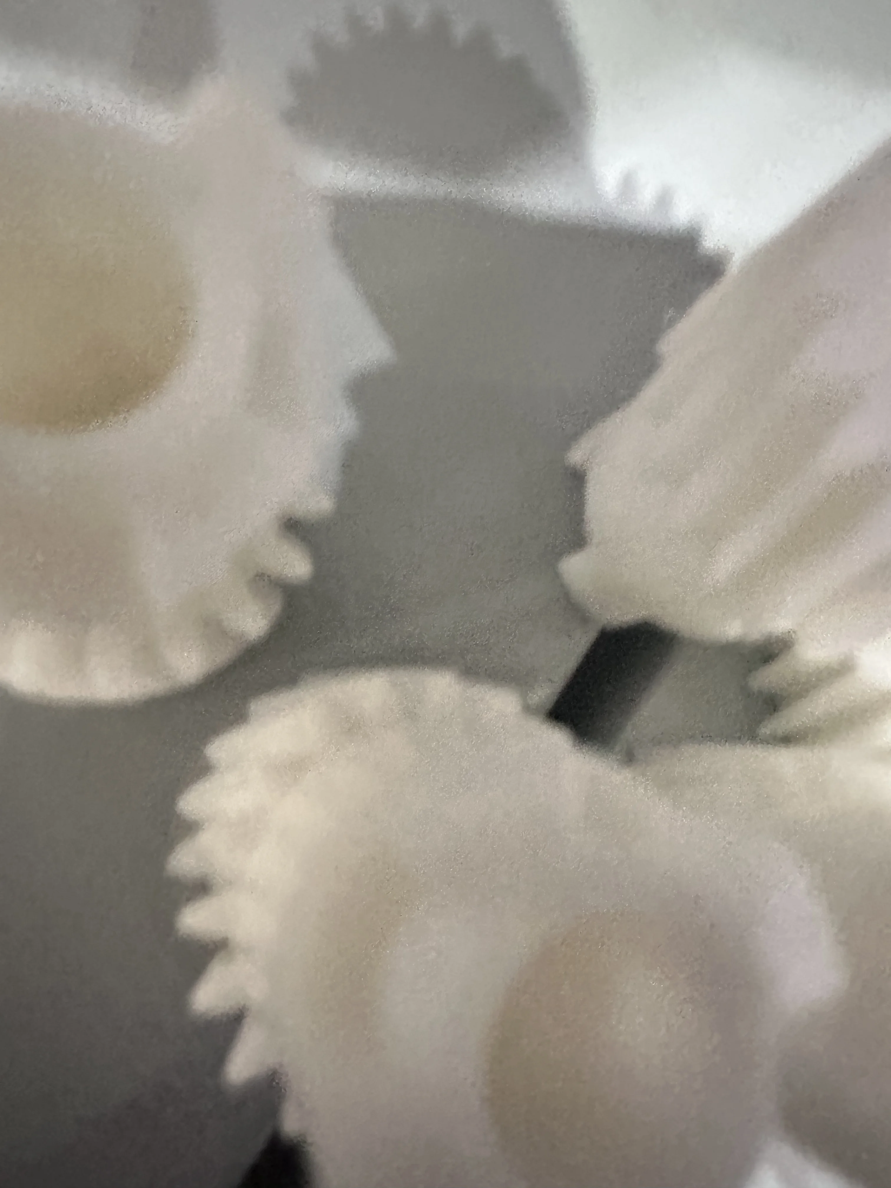 

AB01-7824 AB017824 Fuser Drive Gear For Ricoh MP C2051 C2551 MPC2051 MPC2551 Copier Parts