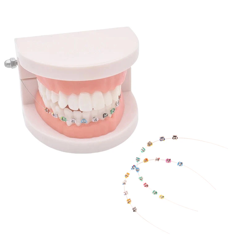 1 Pair Temporary Tooth Decoration With Metal Wires Colorful Metal Bracket And Orthodontic Ligature Ties Dental Decorations