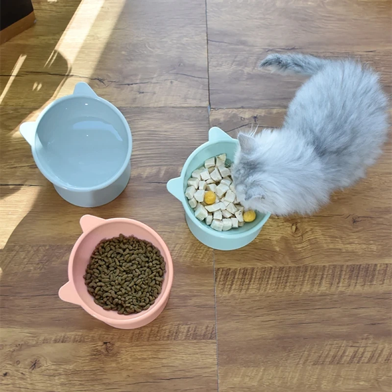Tilted Pet Feeding Bowl 4