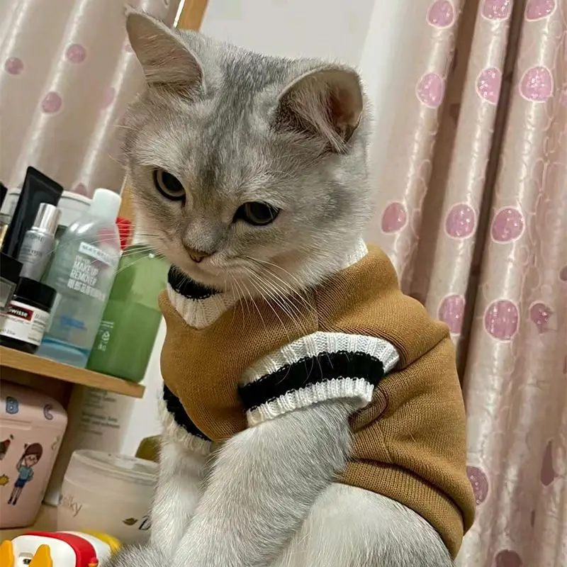 Autumn and Winter Pet Cat Solid Color Clothing Christmas Sweater College Style Dog Clothes Kitten Puppy Vest Clothes Cat Coat Cl