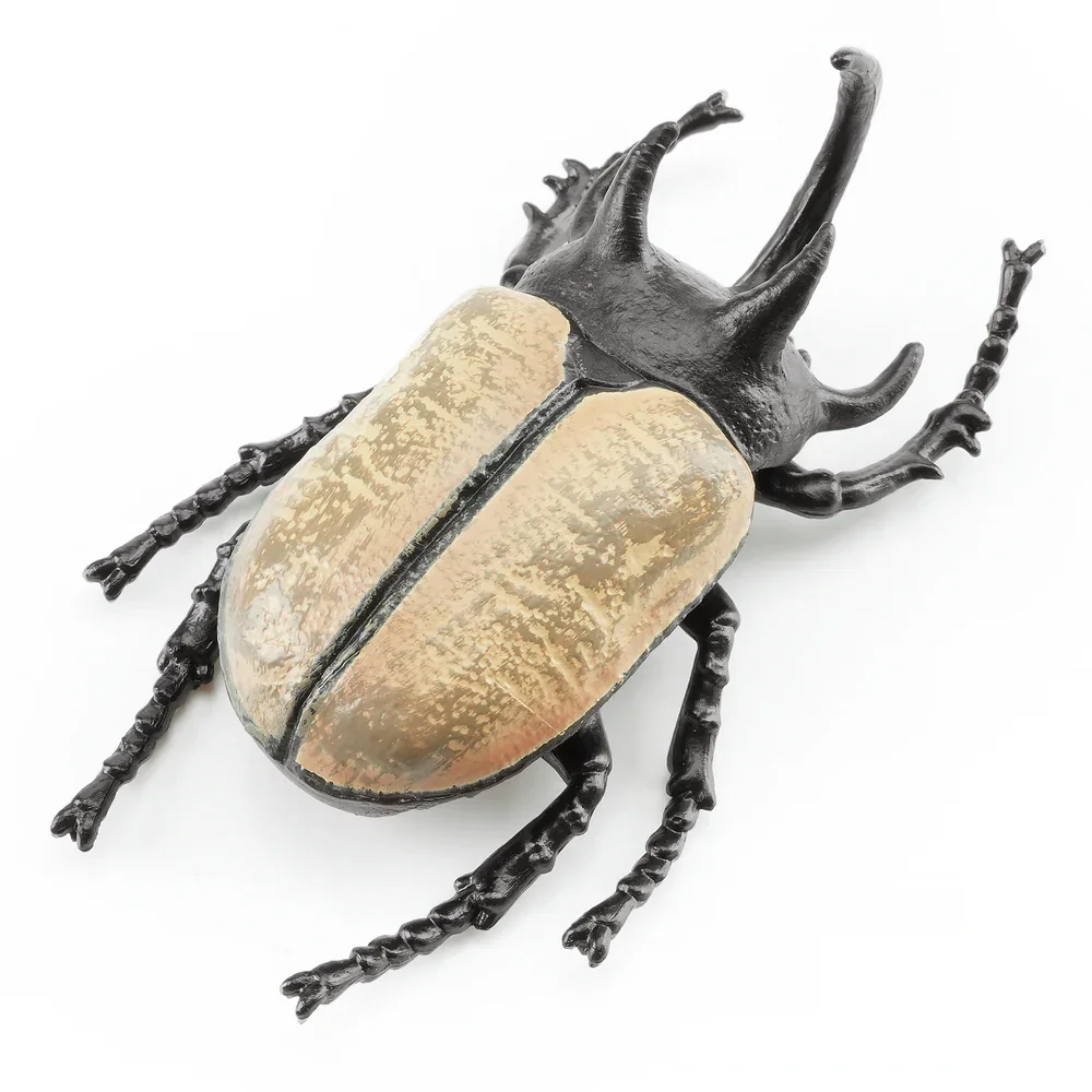 Toymany محاكاة الحشرات وخمسة قرون وحيد القرن خنفساء نماذج للحيوانات لعبة شخصيات صغيرة دمى عمل التماثيل لعب الأطفال هدية