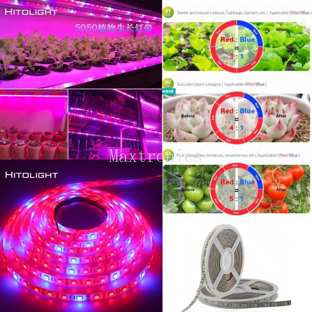 

DC12V 5M LED Phyto Grow Lights SMD5050 60LED/M Flower Plant Lamp for Greenhouse Hydroponic Plant Full Spectrum LED Strip Tape