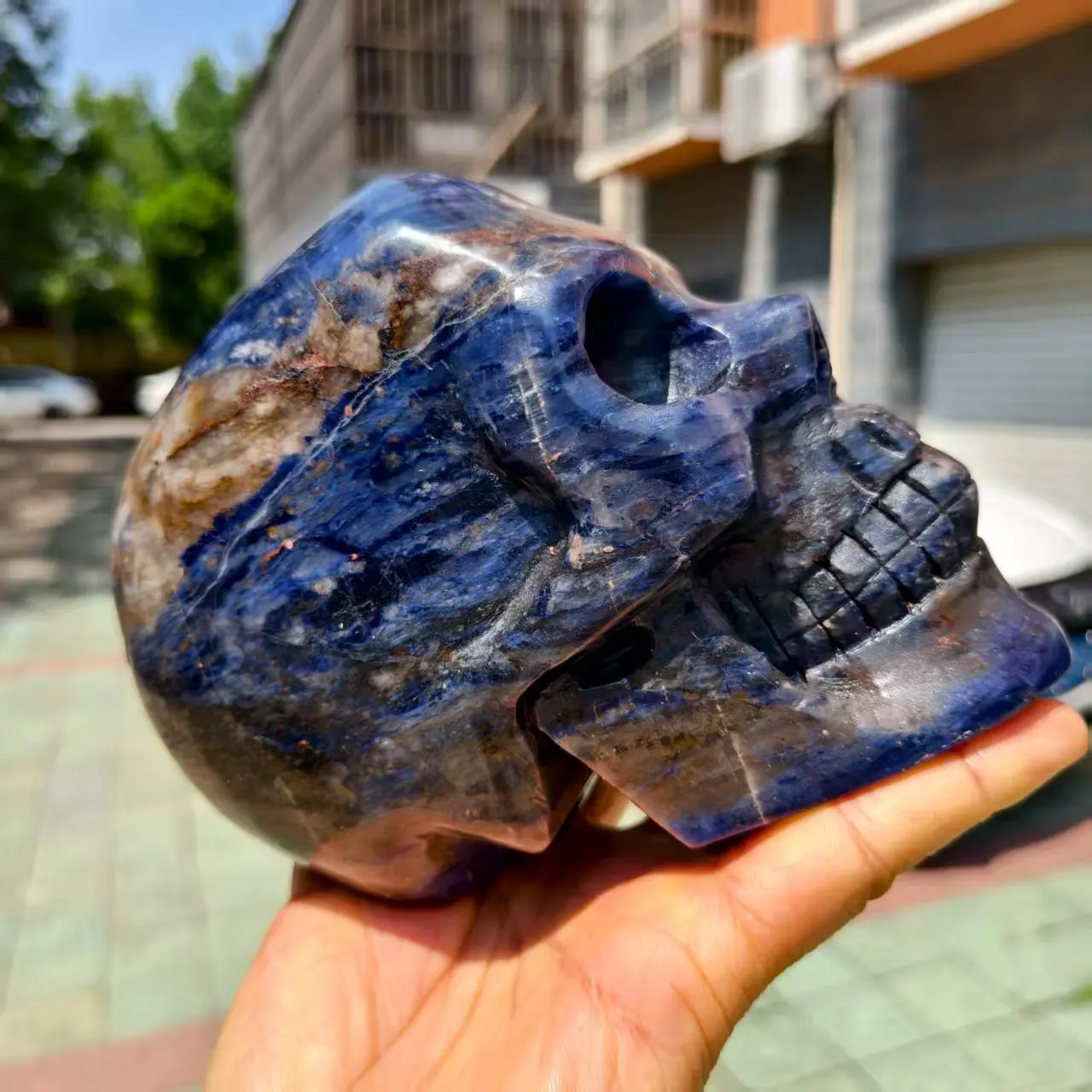 

Natural Blue Sodalite Skull, Quartz Crystal Blue Mineral Polished Skull, Mineral, Reiki, Healing