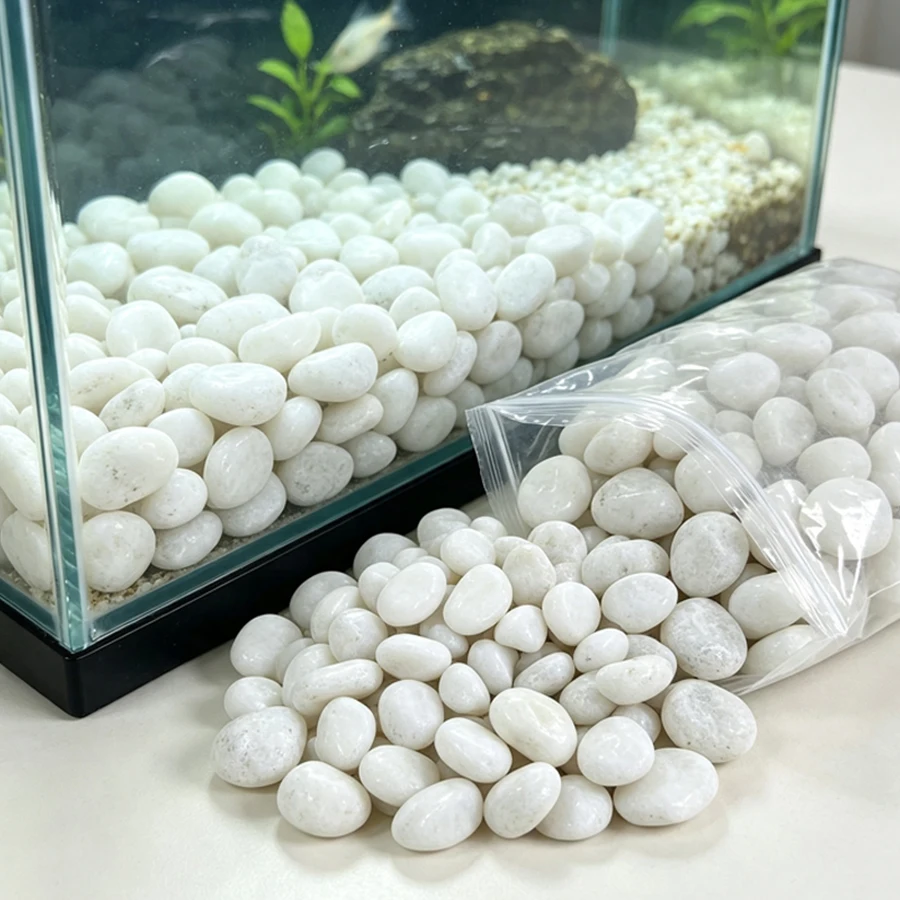 450/900g Glossy White River Gravel Pebbles Smooth Surface Decor Stone for Succulent Cactus Planters, Aquarium Base, Vase, XJM