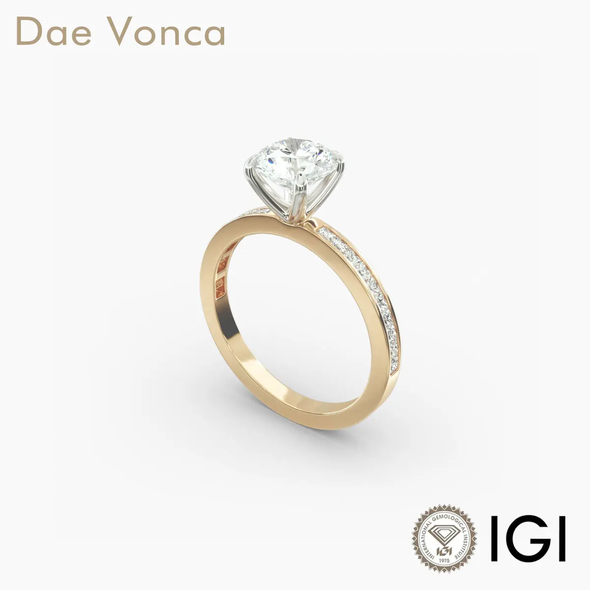 Round Lab Grown Diamond Ring DE VS1/VVS2 9K/14K/18K White & Yellow Gold Channel Set Princess Cut Diamonds For Engagement