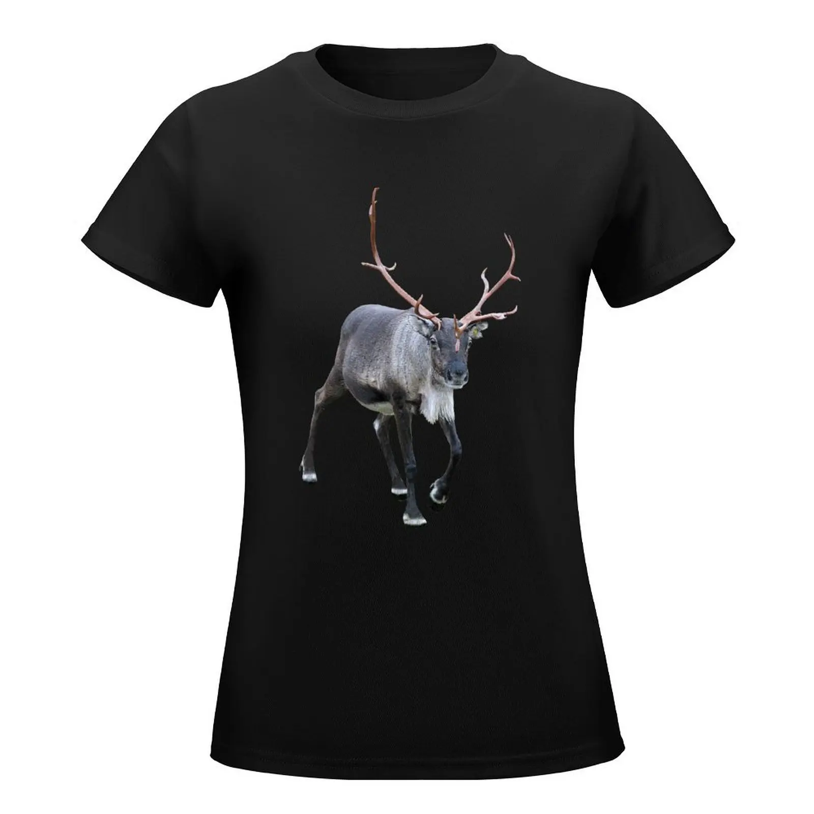 Santa Claus Reindeer T-Shirt korean fashion Female clothing black t-shirts for Women