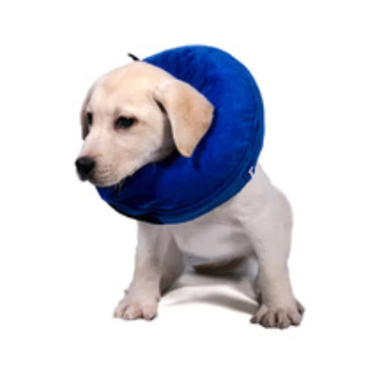 

Ultimate Pet Collar, The Perfect Solution for Your Dog's Anti-Bite Needs, with Inflatable Beauty Cover