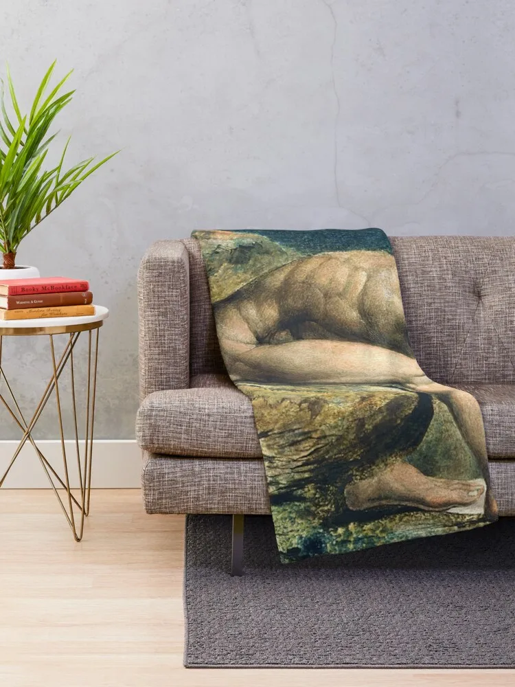 William Blake Newton Throw Blanket Stuffeds For Sofa Thin Blankets