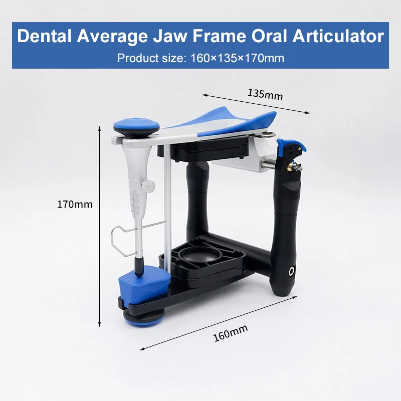 Dental BN Average Jaw Frame Oral Articulator Lab Jaw Frame Anatomical Facial Arch Arrangement Guide Plate Transfer Table Tool