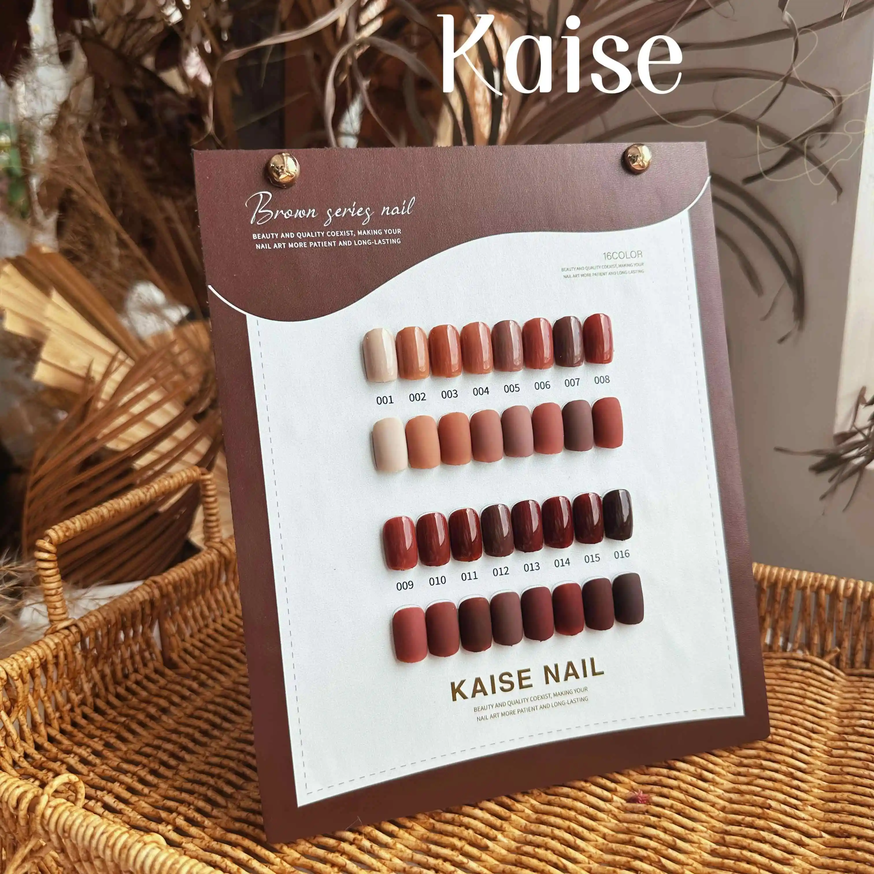 KAISE 16 colors Caramel color Nail gel set 2024 New Professional Hot sale Fashion Nail art Non-toxic UV gel Nail salon Wholesale