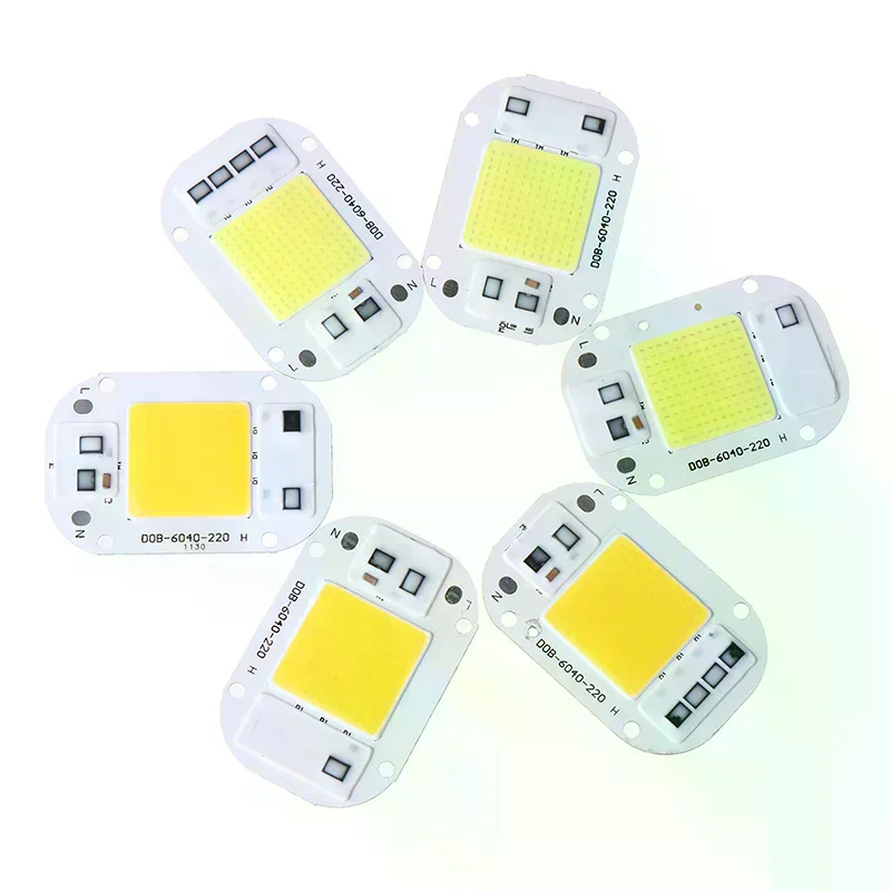 DIY Lampada Outdoor Chip Light Floodlight Spotlight LED Chip 20W 30W 50W AC110 220V Smart COB Lamp Beads LED Lamp Without Driver
