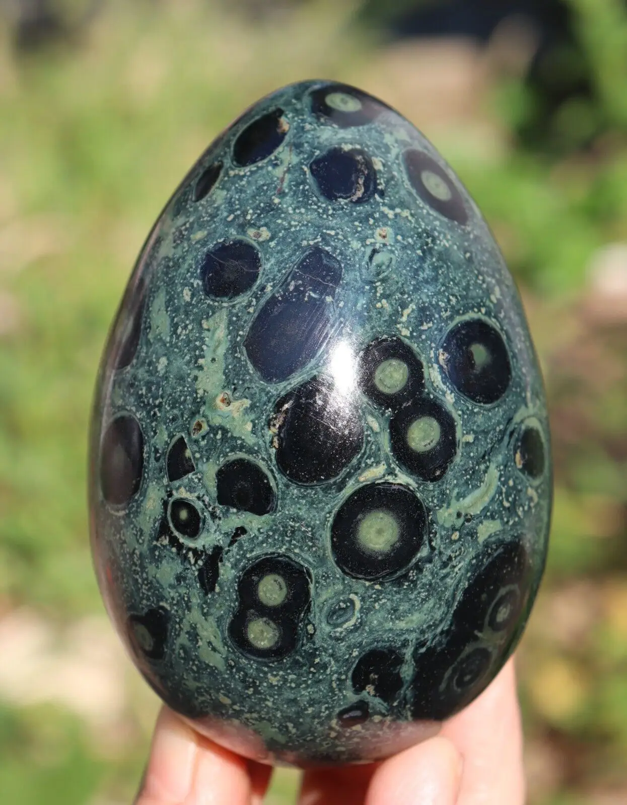 Natural Kambaba Jasper Stone Crystal Egg Healing 200-300g