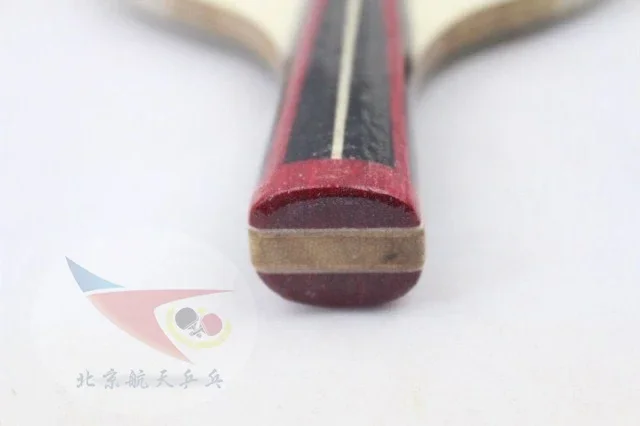 Mini-Tischtennisschläger, Souvenir-Sammlung, Display, kleiner Schläger mit Pingpong-Finish für Kinder, Schläger mit Signature Interest – Detail 16