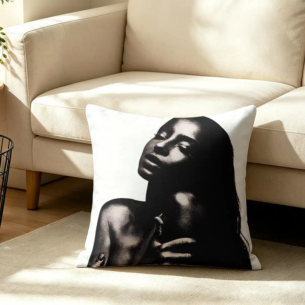 Popular Singer S-sade Cushion Cover Wrinkle-Resistant Short Plush Pillow Case Breathable Machine-Washable