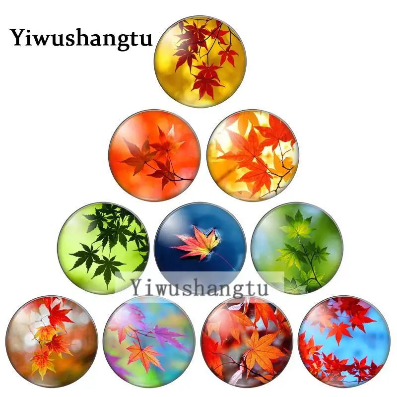 Fashion maple leaf colourful leaves pattern 12mm/20mm/25mm/30mm  Round photo glass cabochon demo flat back Making findings