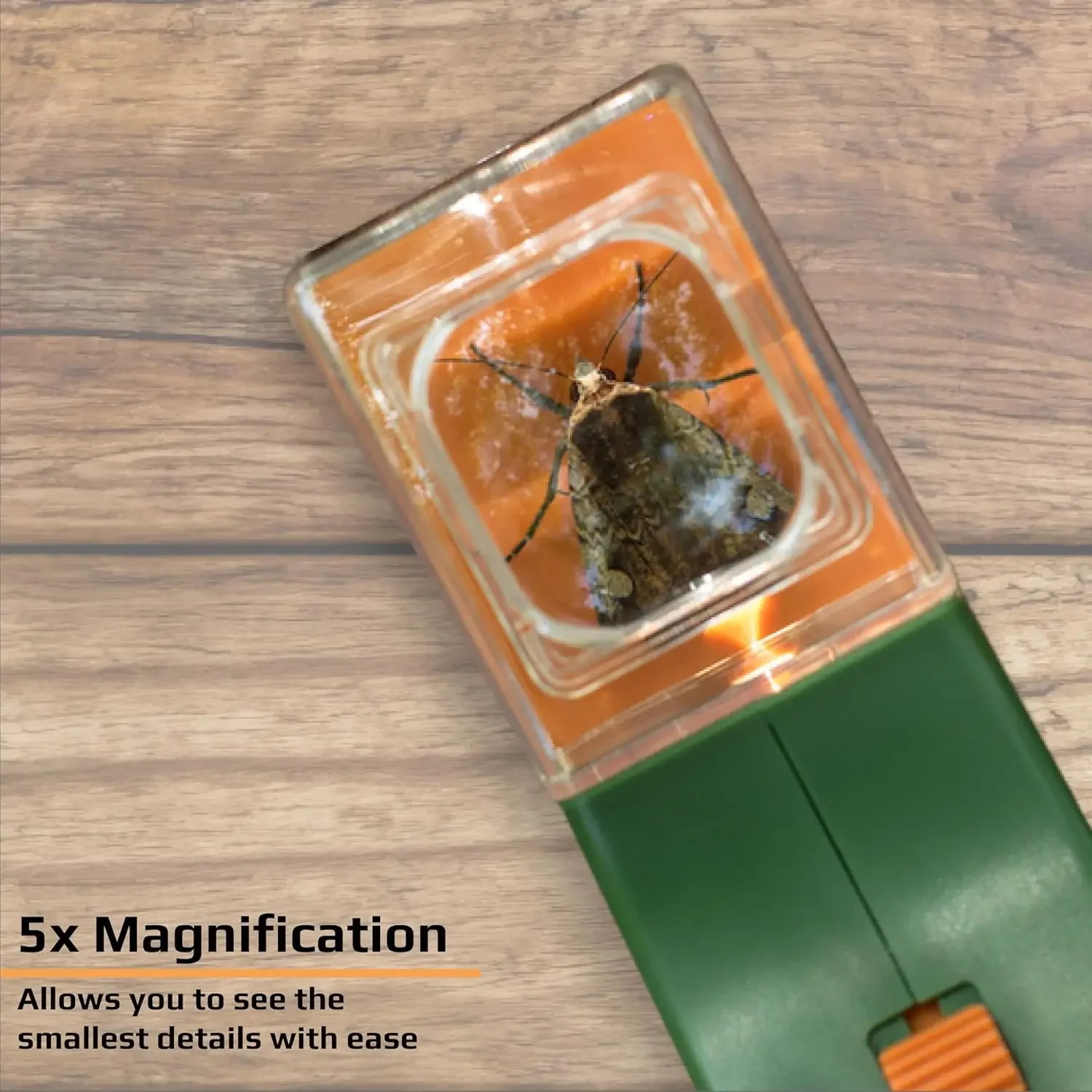 Insect Catcher With Magnifying Fly Grabber Spider Catcher Bug Insect Catching Tool Insect Catching Insect Trap Bee Clamp