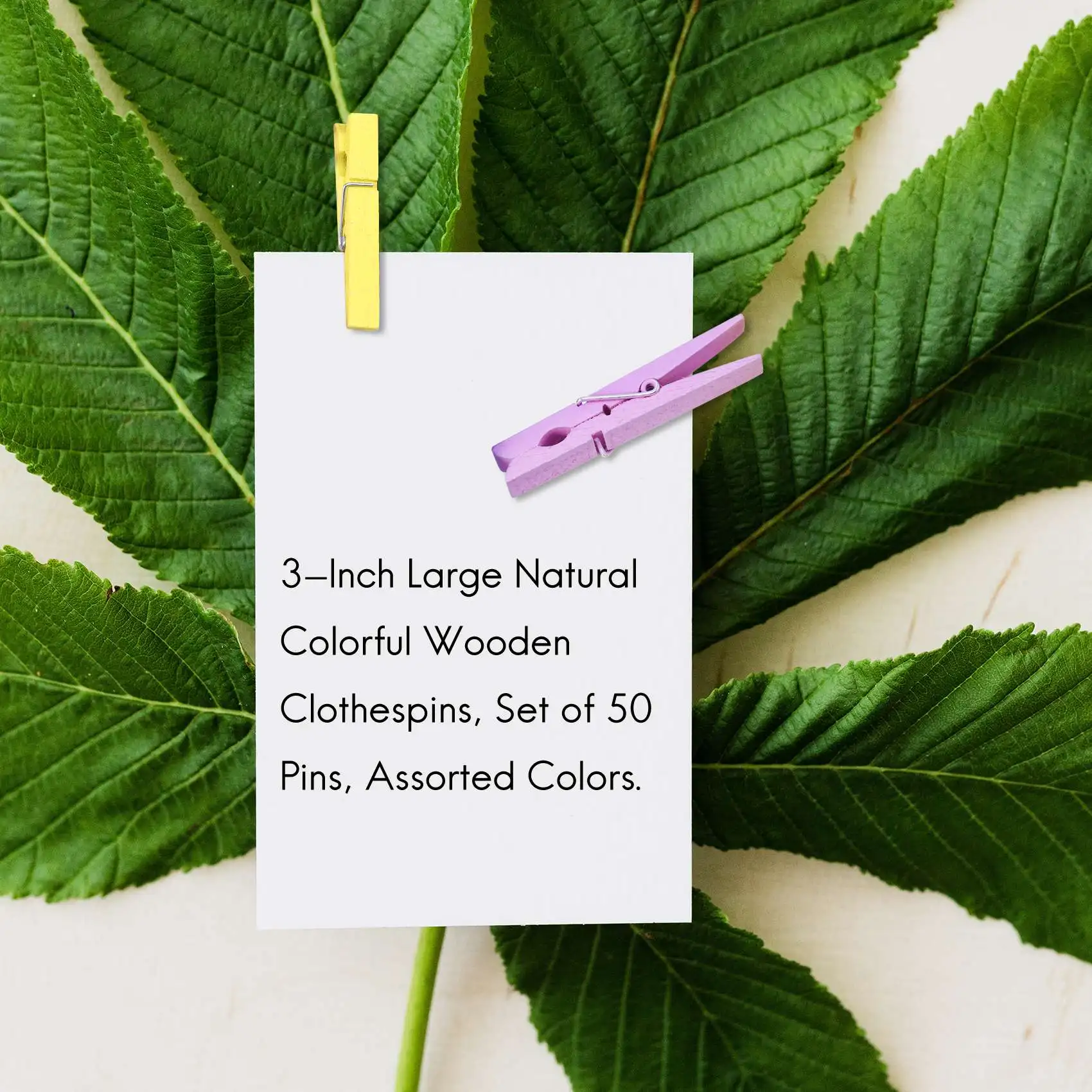 

Fresh 3-Inch Large Natural Colorful Wooden Clothespins, Set Of 50 Pins, Assorted Colors