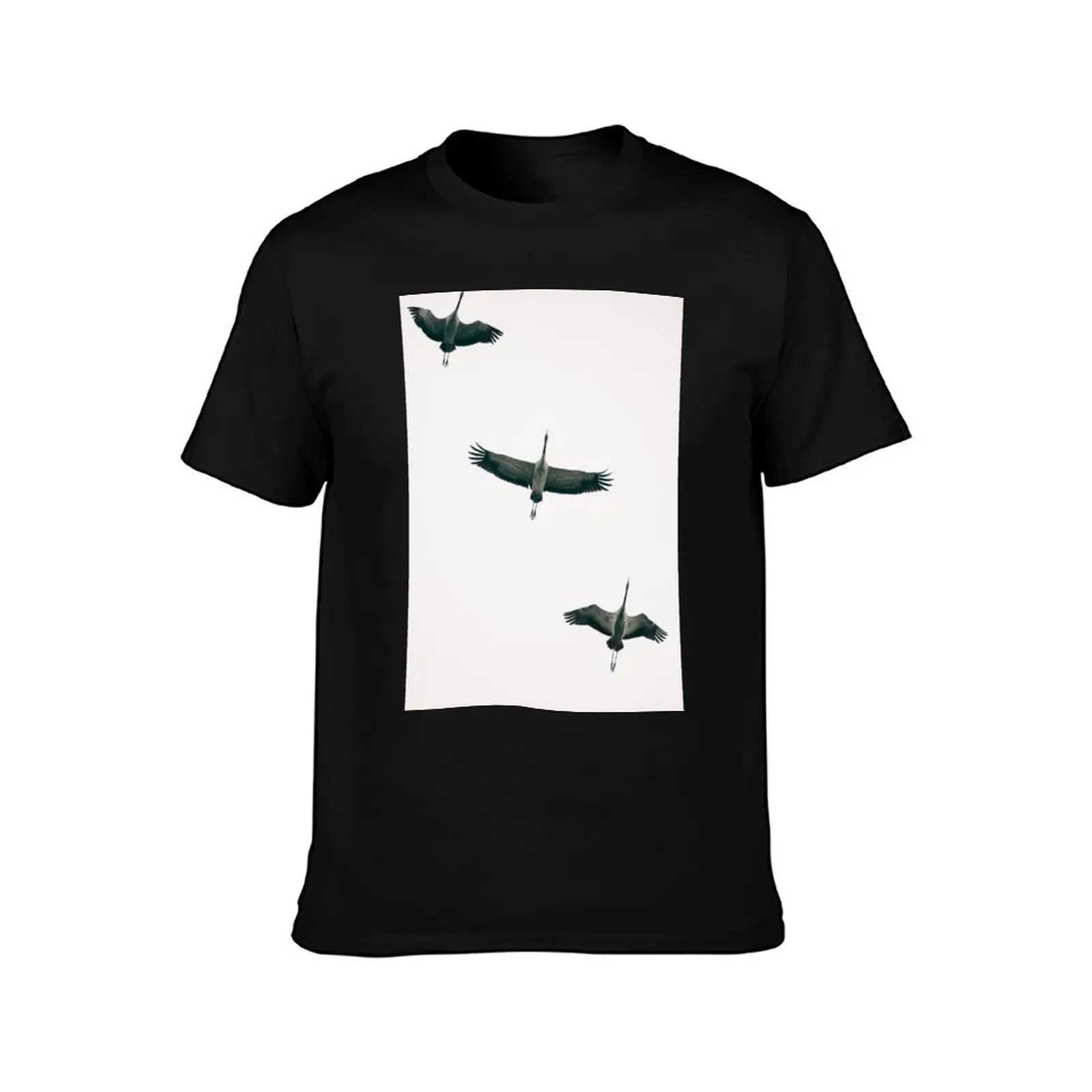 Three Common Cranes Flying in Midair From Below T-Shirt Plus Size Gym Sports T-Shirt