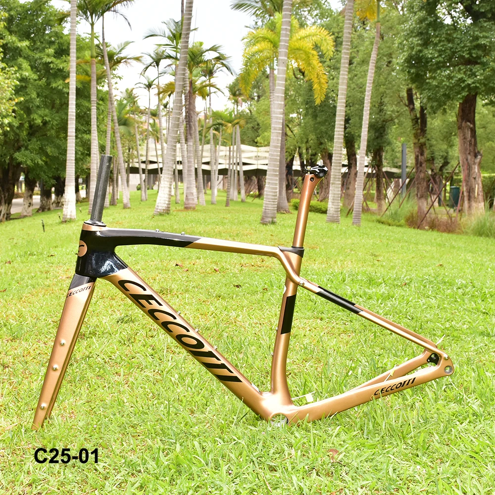 Carbon Frame Gravel Bicycle with Internal Full Hidden Cable, Cyclocross Racing Disc Brake Bike