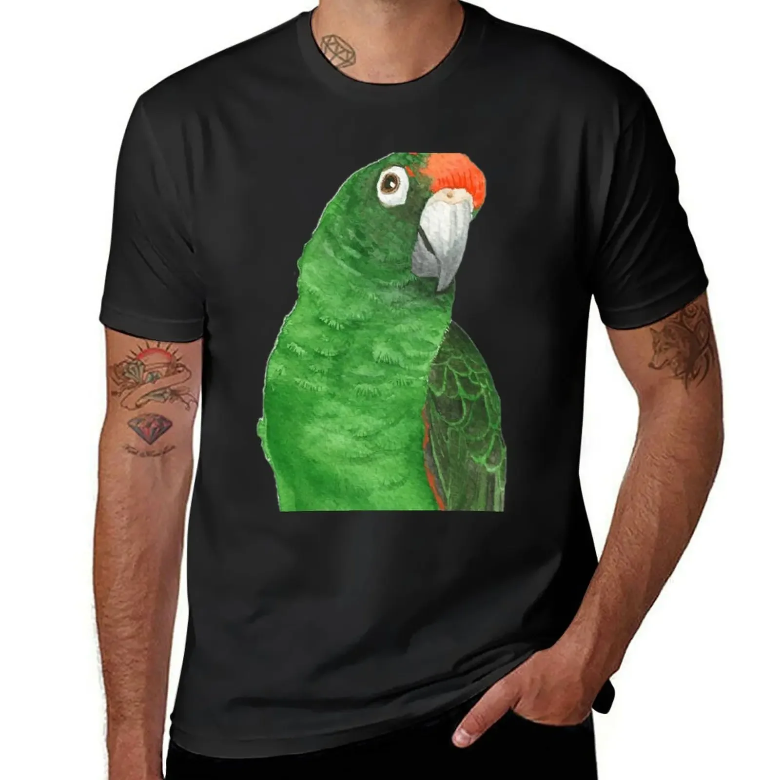 

jardine's parrot watercolor - bird paint T-Shirt new edition baggy shirts cheap stuff mens champion t shirts