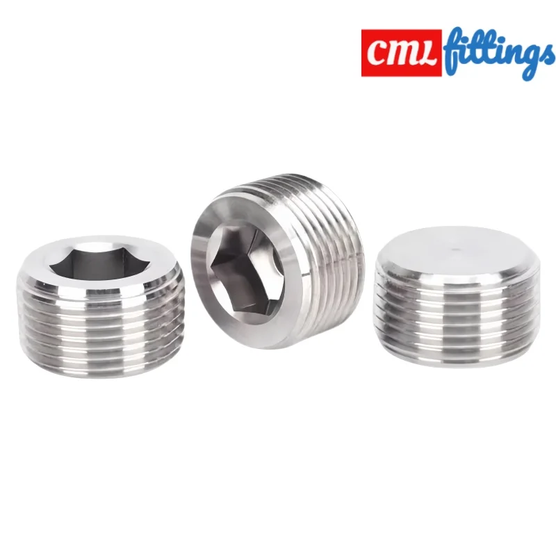 304 Stainless Steel Hex Socket Pipe End Cap - BSPT/BSPP/NPT Male Thread with Inner Hex Drive (Oil & Water Resistant Plug)