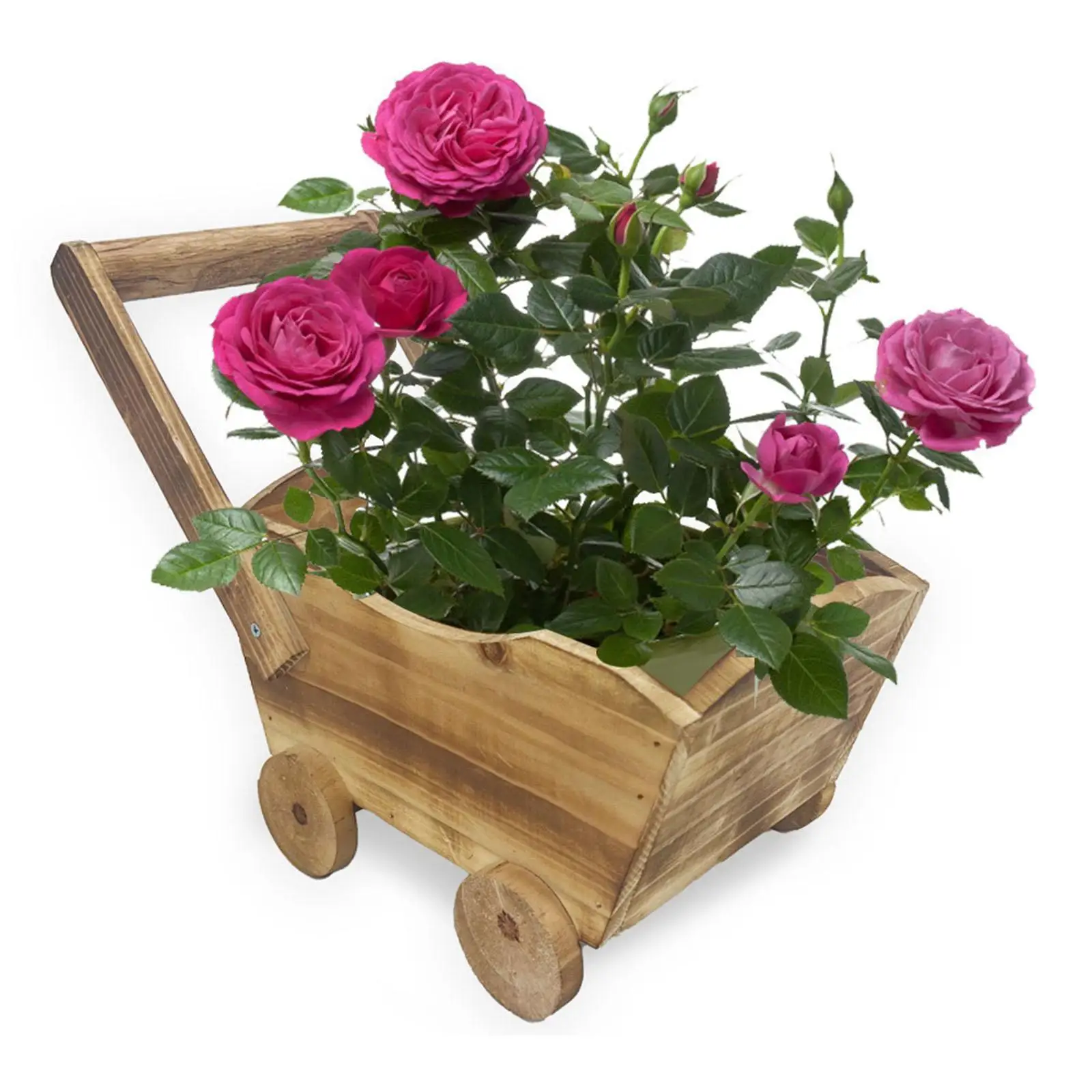 Flower Pot Plant Pot Multifunctional for Garden Desktop Table Centerpiece