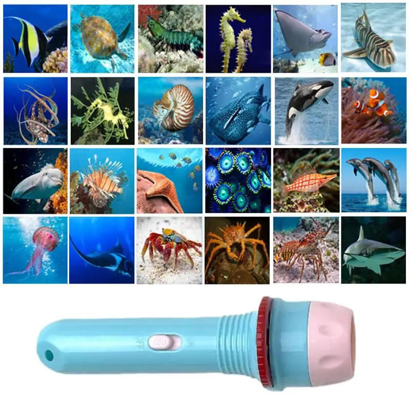 Kids Fun Projector Torch Cartoon Animal Fruit Educational Light Up Toys Baby Flashlight Story Book Fairy Tale Projection Lamp