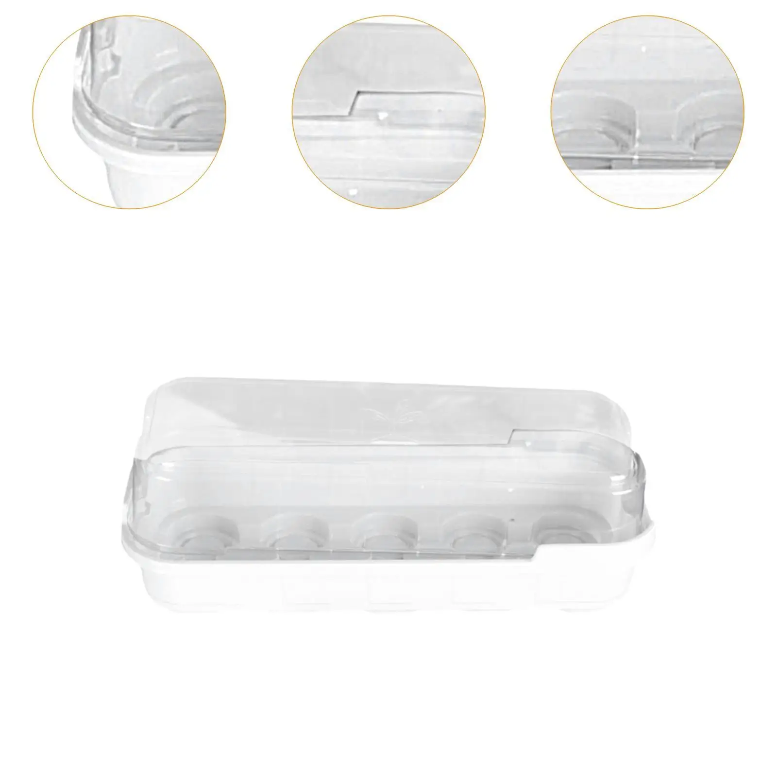 Bandeja de propagador de semillas, plato de cultivo de invernadero,  contenedor de plantas, bandeja de alféizar de ventana con tapa para patio /  Utensilios de jardinería, image size:1600x1600