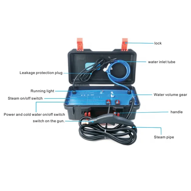 3000W Nieuw Hogetemperatuurstoomreiniger Engels Paneel Met Alkalische Desinfectie Tool Airconditioning Afzuigkap Auto Reiniger