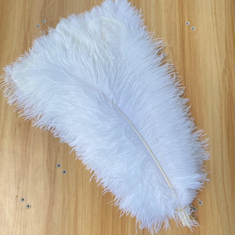 10pcs Big White Ostrich Feathers Diy Accessories for Crafts Decorative Trimmings Sewing Craft Feathers Vase 60-65cm/24-26 Inches