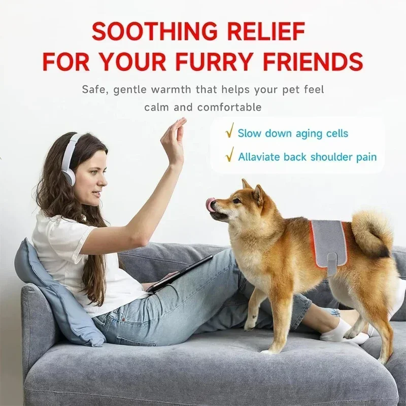 Clinica Uso veterinario Animali Animali Animali domestici Cani Gatti Antidolorifico Guarigione delle ferite Acne Rimozione dei funghi Dispositivo per terapia laser fredda