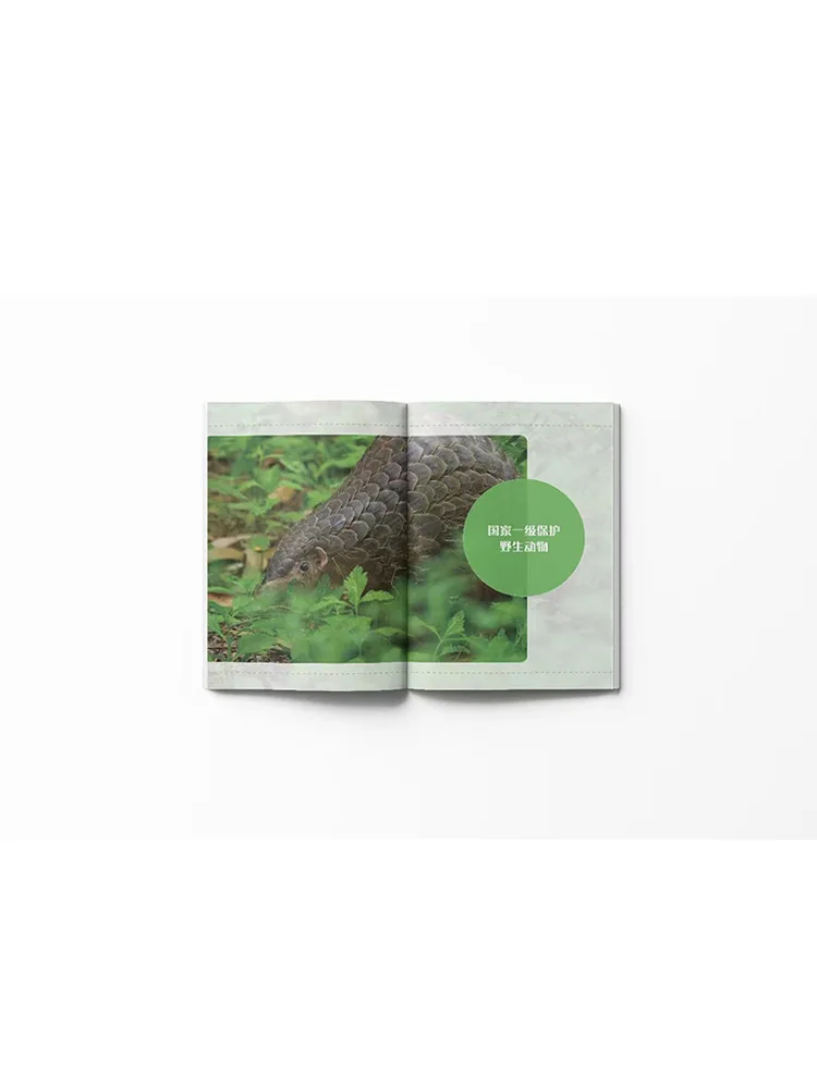 Book-Winshare Land Based Wild Animals under National Key Protection in Guangdong Province