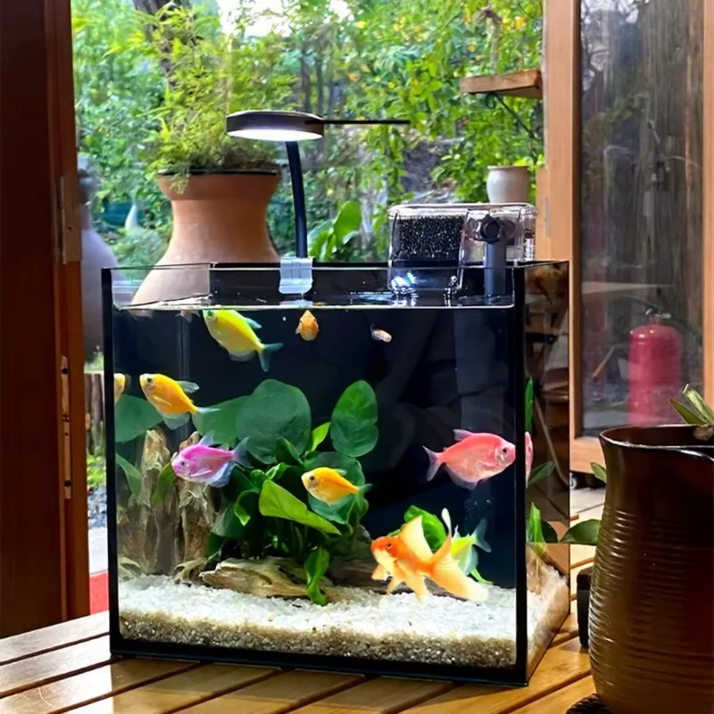 Wholesale Ultra White Clear Bent Glass Fish Tank Small Eco-Friendly Rectangle Salt Water Aquarium Home Use Desktop Box Packing view 2