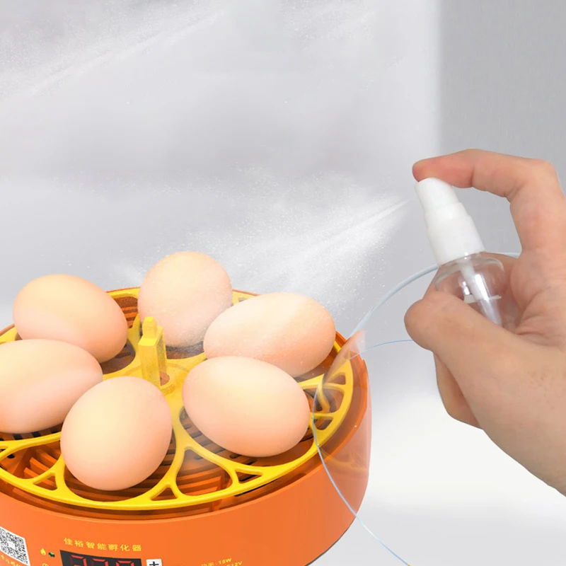 Mini 6 Chick Incubator Small Home Science and Education Incubator Cross-Border Children's Smart Egg Incubator Toy