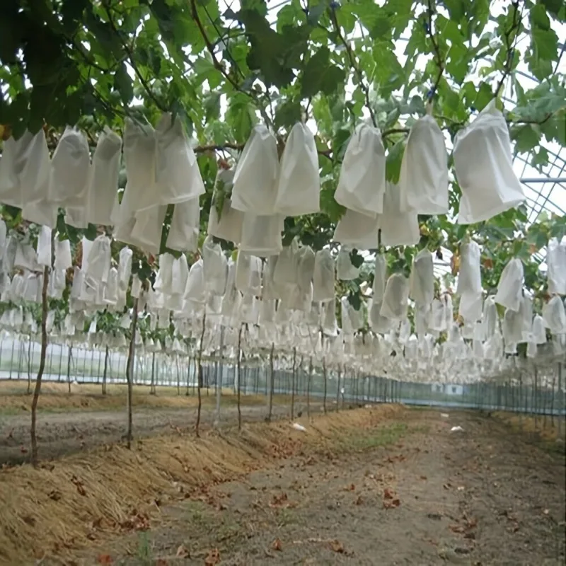 100pcs Fruit Cover Mesh Bag Insect Proof, Rain-Proof & Breathable Protection For Your Fruits, Plant Climbing Net Trellis Netting