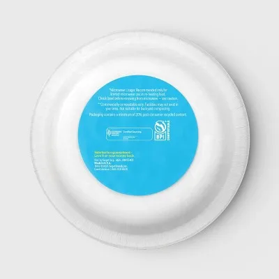 Disposable Bowls Colorful Checkered 20oz/20 Count