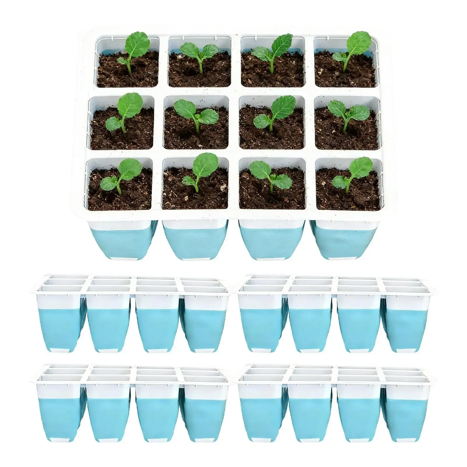Seedling Square Trays 5 Pieces 60 Cells Seedling Starter Trays Silicone Growing Starter Indoor Gardening Germination Trays