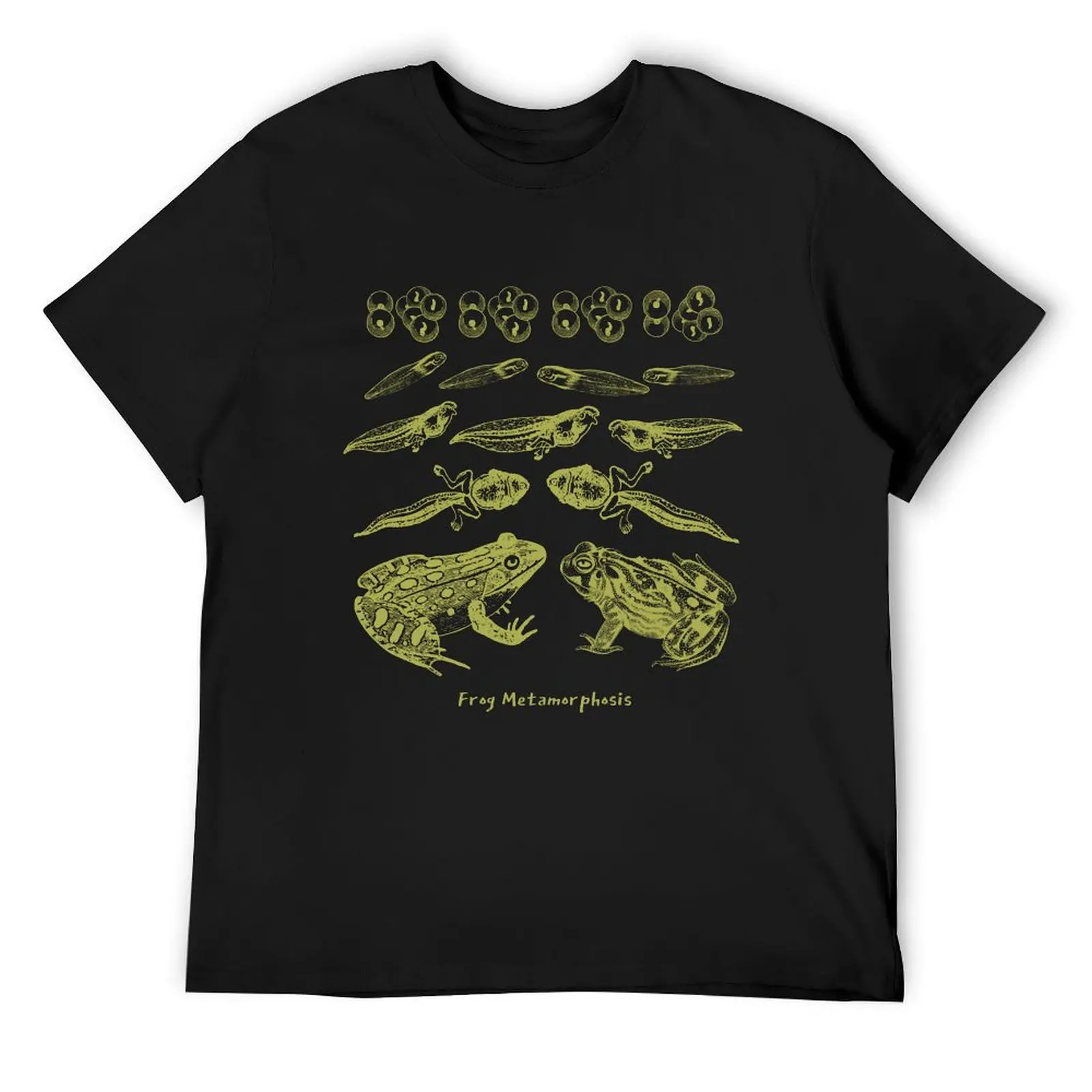 

Vintage Frog Life Cycle Design: Toad Tadpole Metamorphosis for Biology and Natural History Lovers T-Shirt sweat t shirt men