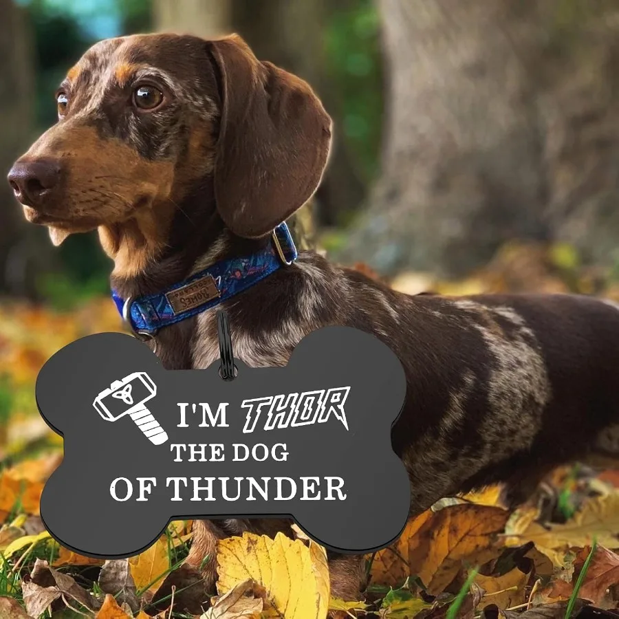 علامات طوق الكلب، هدية البطل، هدية لمحبي الحيوانات الأليفة، علامات مضحكة للكلاب الرعد للحيوانات الأليفة #3